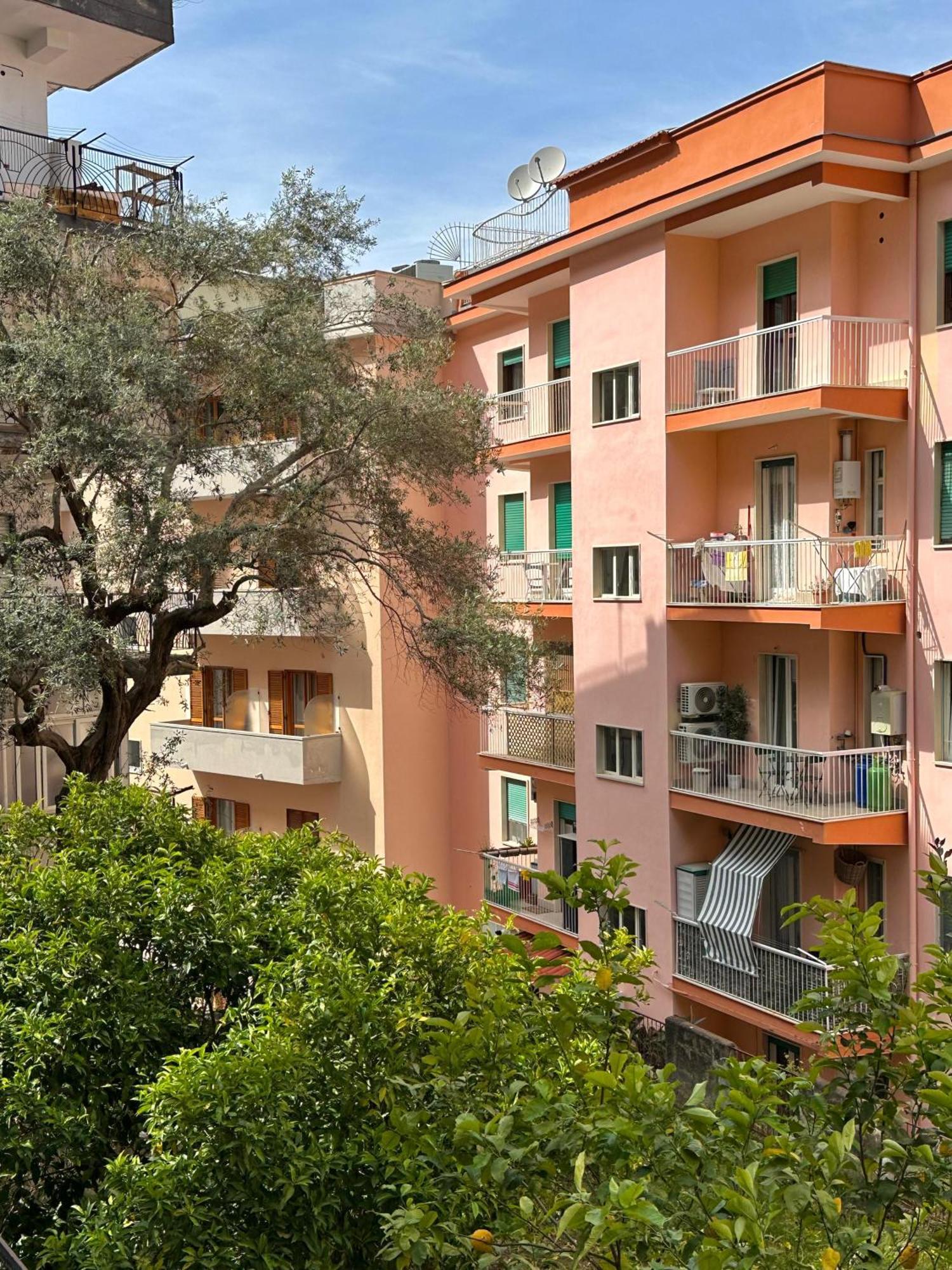 Alfa Holidays Apartment *